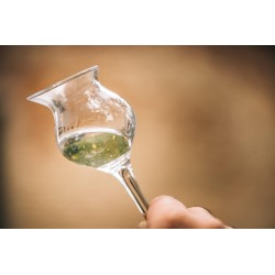 Mazzetti - ORO Liquore a base di Grappa 30Â° 50 cl in Astuccio